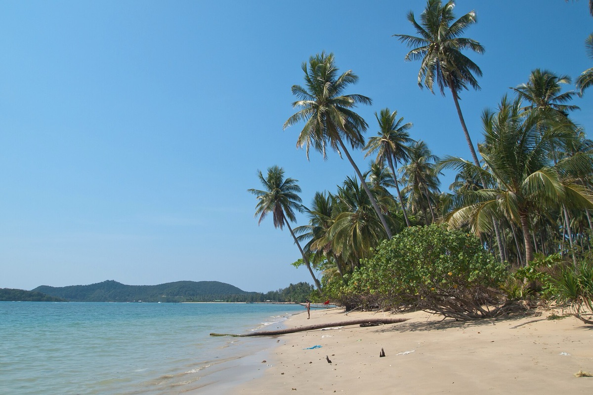 Tropical beach with white sand and turquoise water