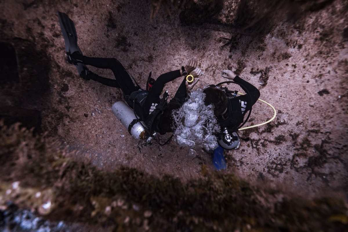 Scuba diver in Seychelles reef