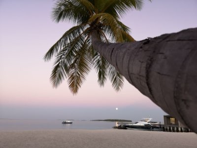 Malediven vs Seychellen: Uw luxe huwelijksreis bestemming