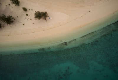 Maldives vs Seychelles: Choosing Your Dream Honeymoon Escape