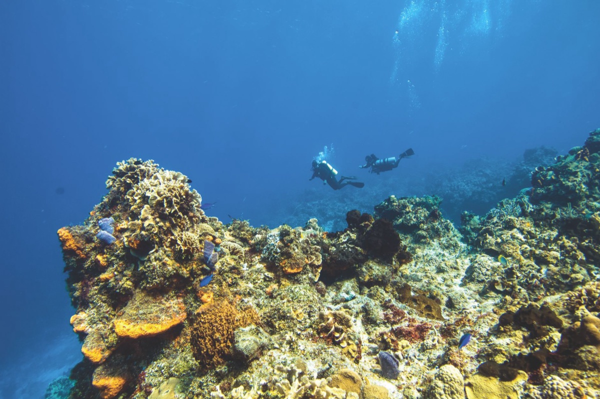 Coppia snorkellando in un reef corallino nei Maldivi