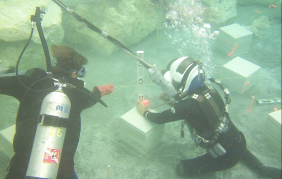 scuba diving in coral reef