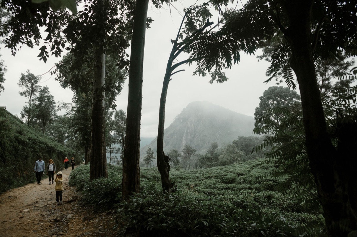 Family hiking trail near resort with mountain view