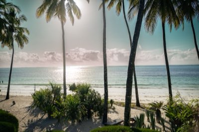 Voyage : Optimisez votre séjour : base hôtel, excursions réussies