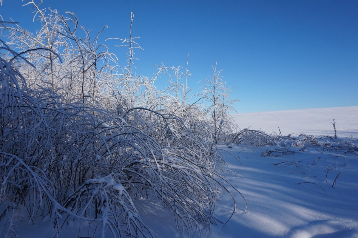 Sunlit snowfield at Wisp Resort