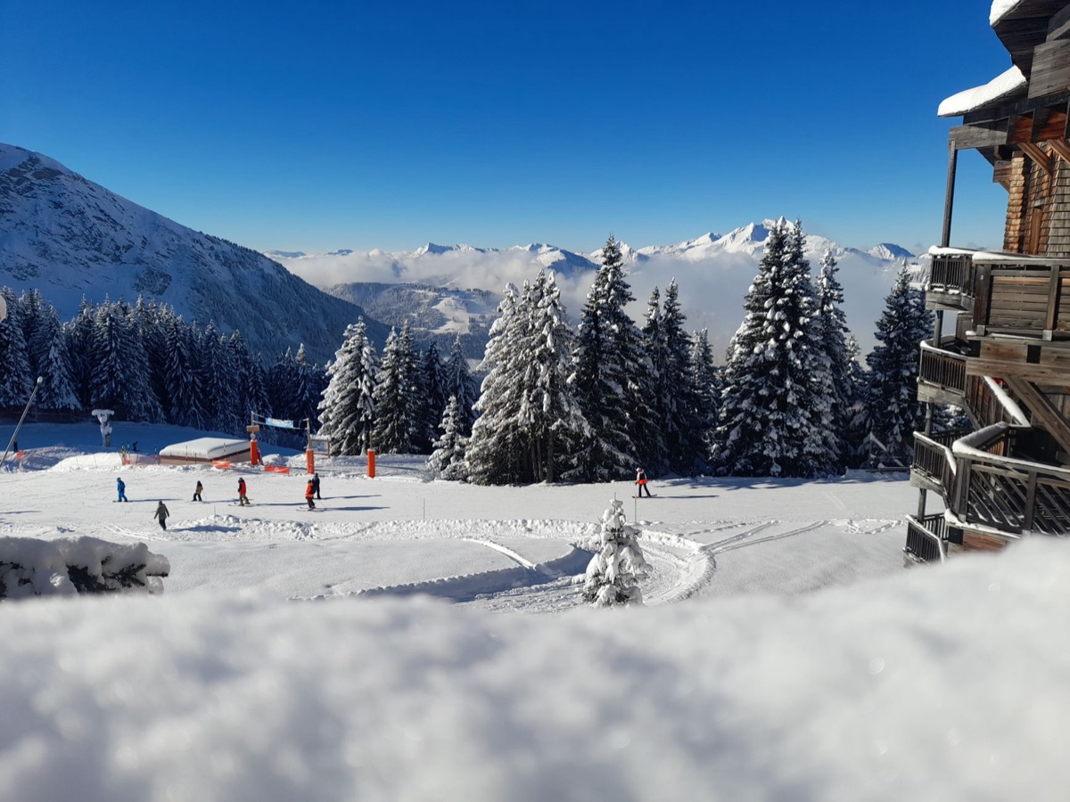 arvore neve com resort no fundo