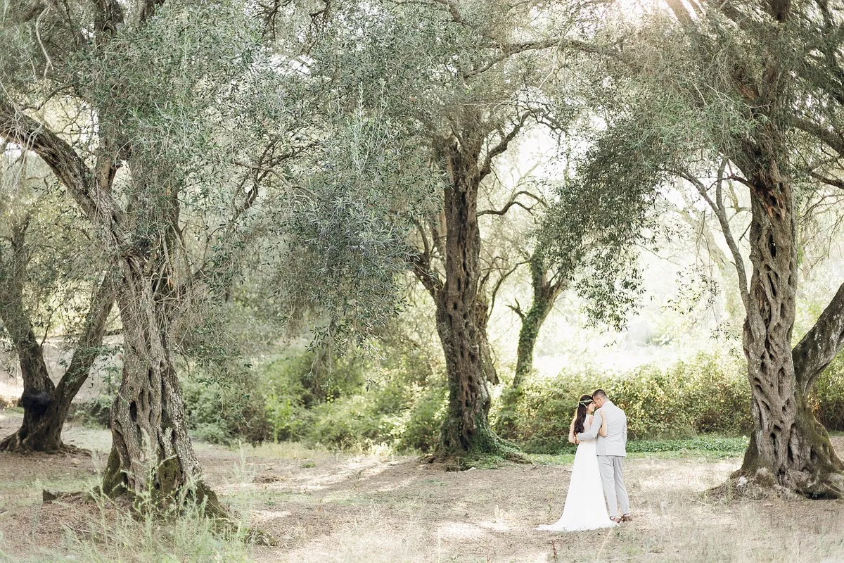 couple, marriage, love, trees, forest, nature, togetherness, olive tree, romantic, honeymoon, joyful, tuscany, greece, majorca, couple, love, love, forest, oliv